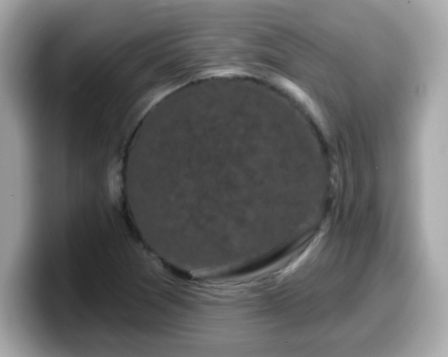 X0000099561361200805231504