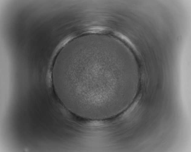 X0000099561362200805231504