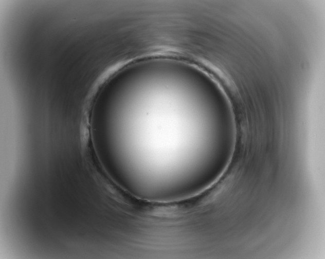 X0000099561363200805231504