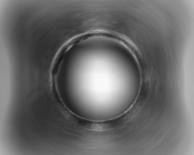 X0000099561364200805231504