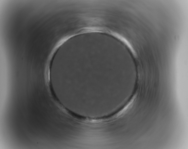 X0000099561365200805231504