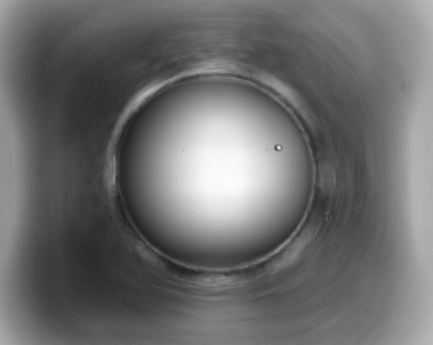 X0000099561366200805231504