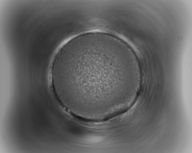 X0000099561367200805231504