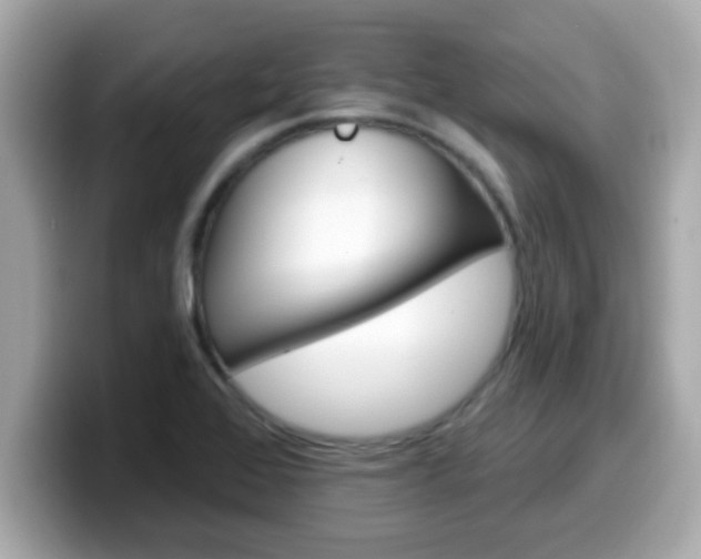 X0000099561368200805231504