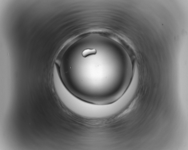 X0000099561369200805231504