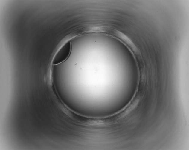 X0000099561370200805231504