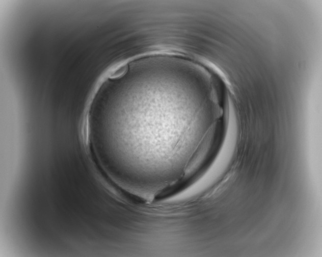 X0000099561371200805231504