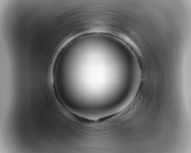 X0000099561372200805231504