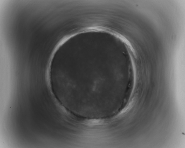 X0000099561373200805231504