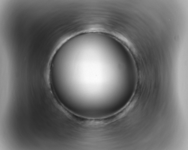 X0000099561374200805231504