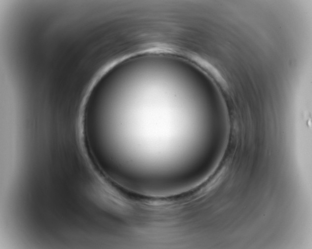 X0000099561375200805231504