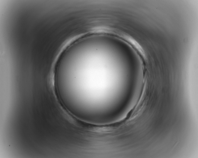 X0000099561376200805231504