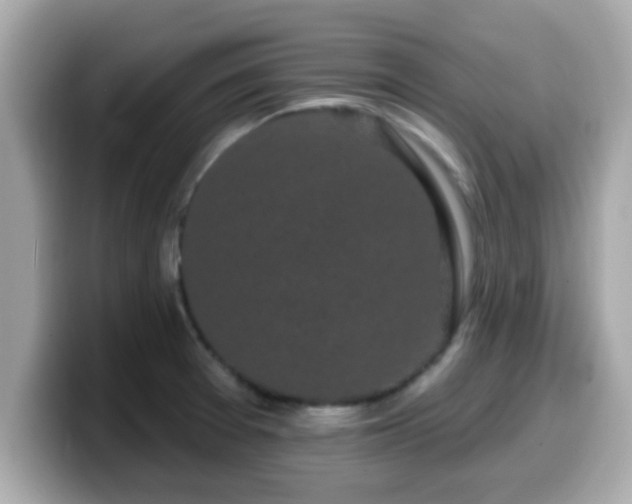 X0000099561377200805231504