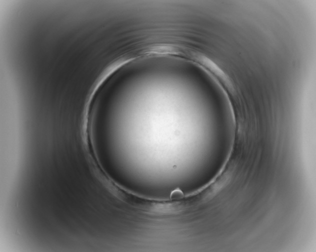 X0000099561378200805231504