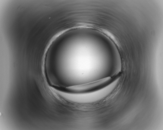 X0000099561379200805231504