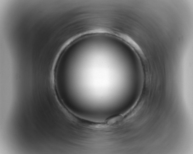 X0000099561380200805231504