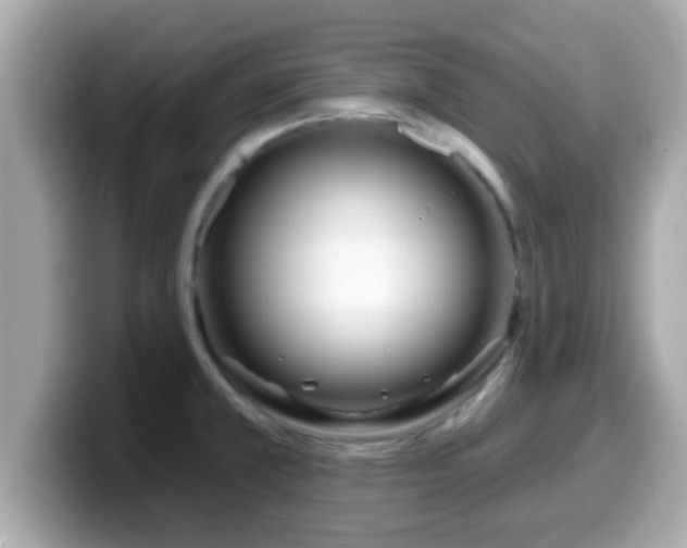 X0000099561381200805231504