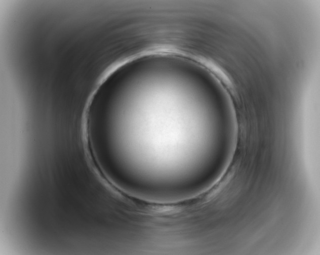 X0000099561382200805231504