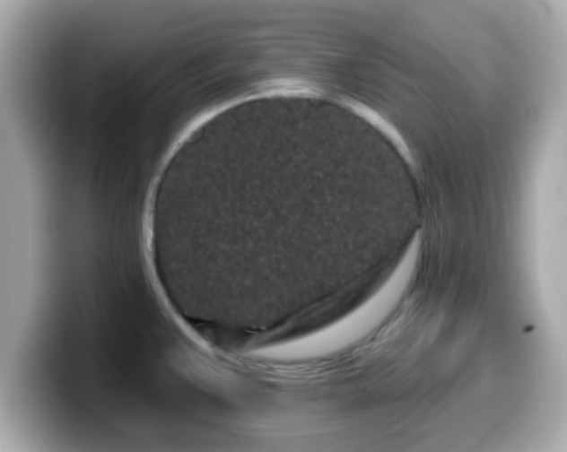 X0000099561383200805231504