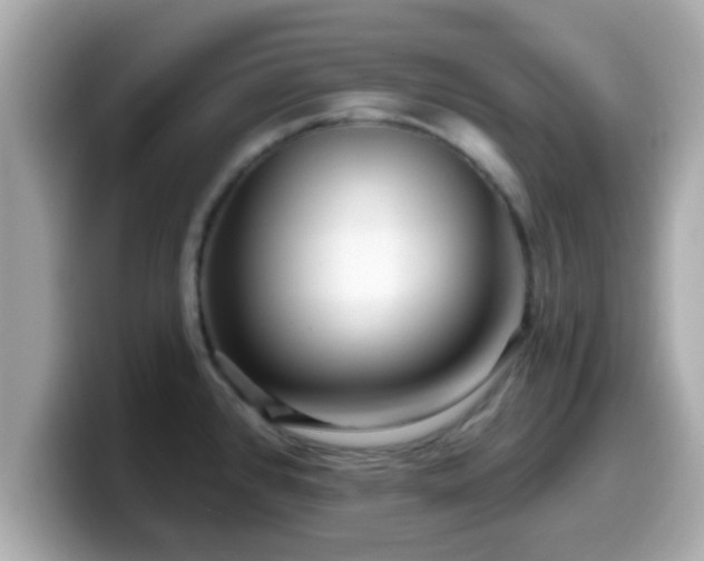 X0000099561384200805231504