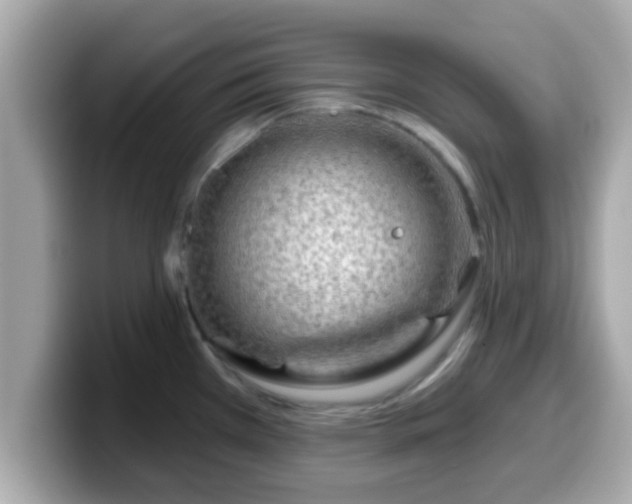 X0000099561385200805231504