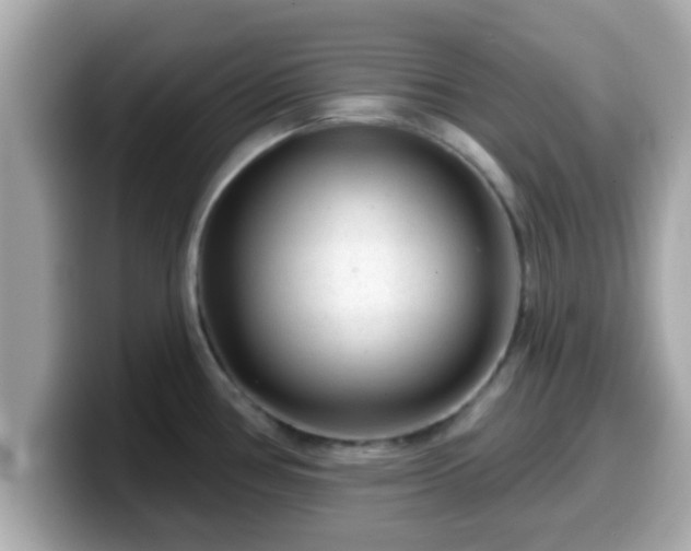 X0000099561386200805231504