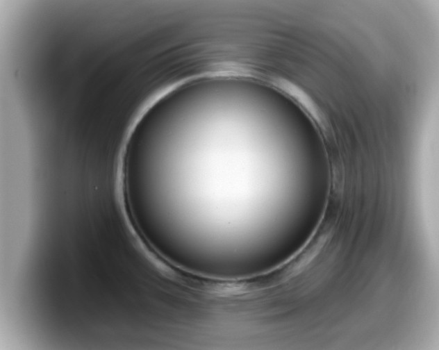 X0000099561387200805231504