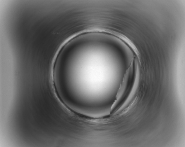 X0000099561388200805231504