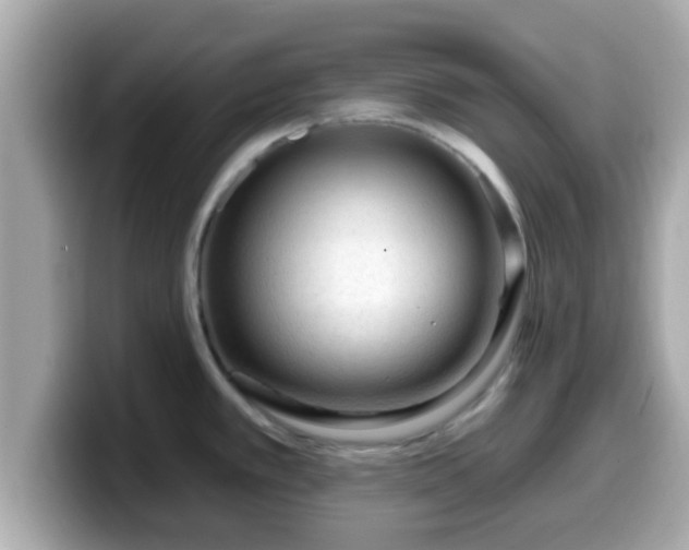 X0000099561389200805231504