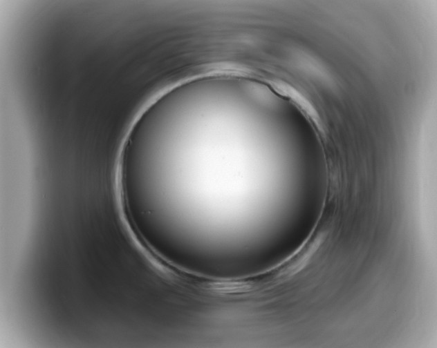 X0000099561391200805231504