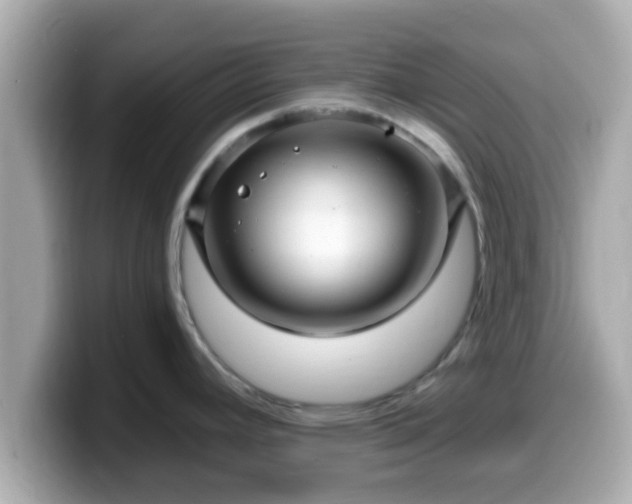 X0000099561392200805231504