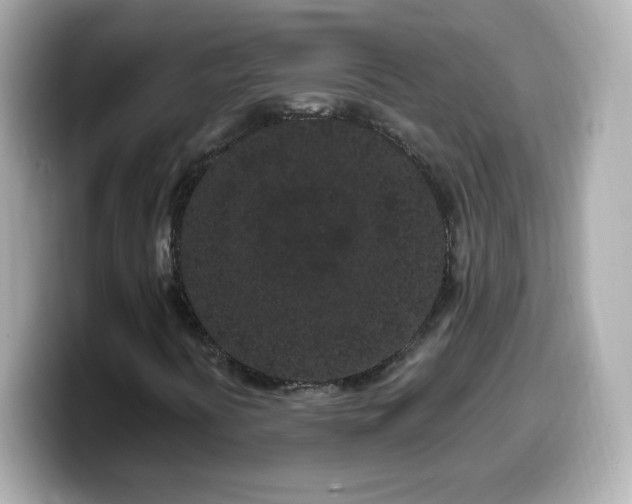 X0000099561394200805231503