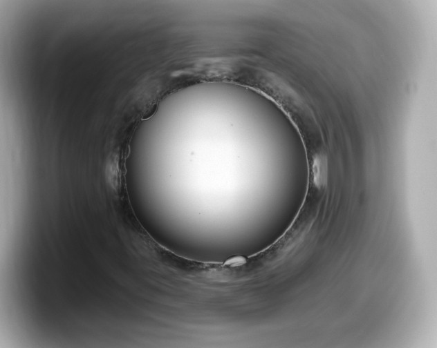 X0000099561395200805231503