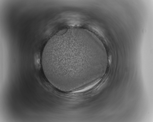 X0000099561396200805231503