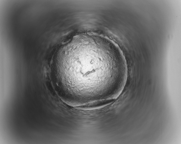 X0000099561397200805231503