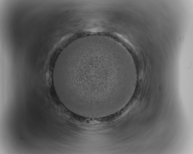 X0000099561398200805231503