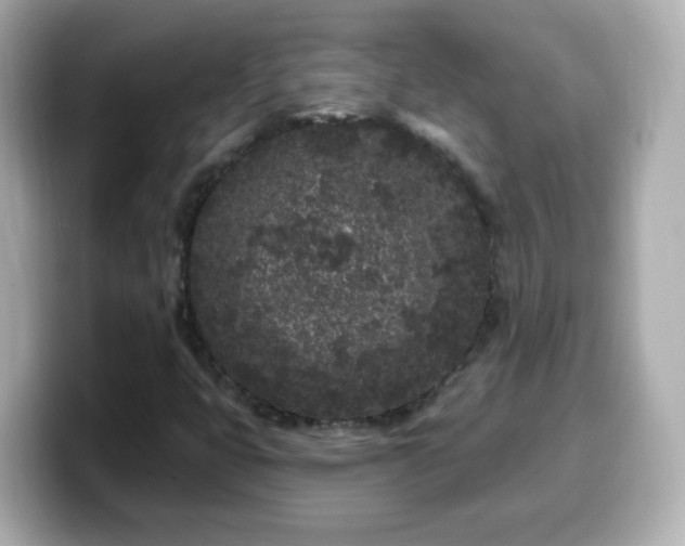 X0000099561399200805231503