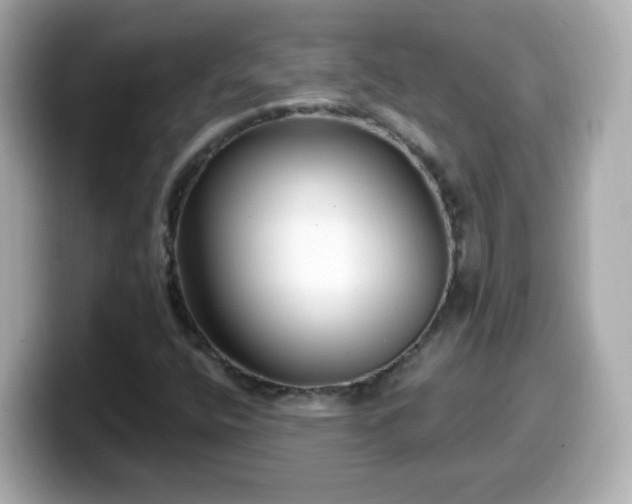 X0000099561400200805231503