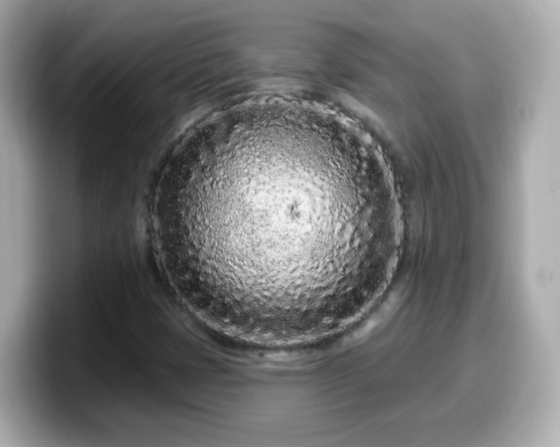 X0000099561401200805231503