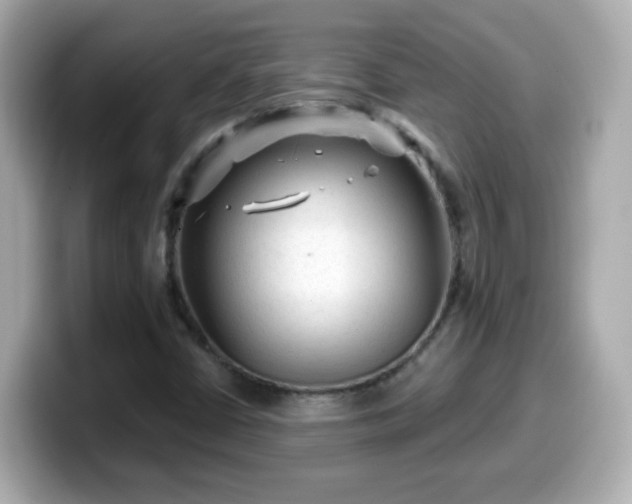 X0000099561402200805231503