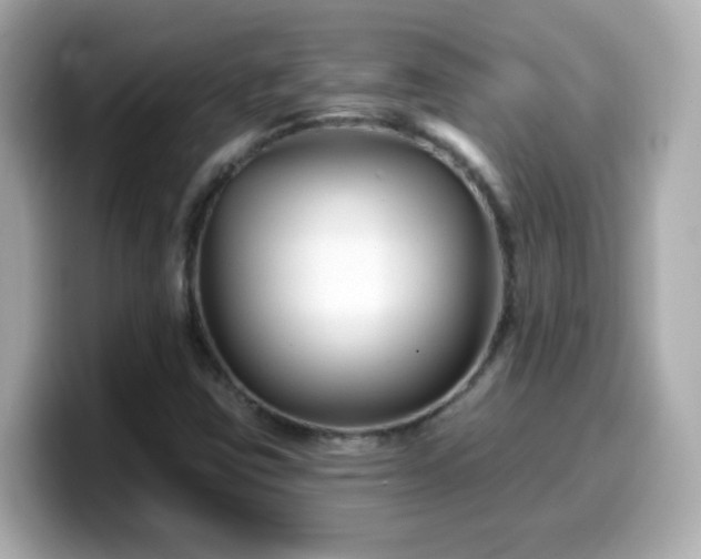 X0000099561403200805231503