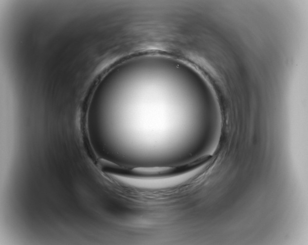 X0000099561404200805231503