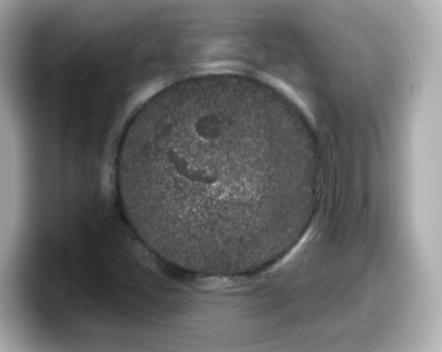 X0000099561405200805231503