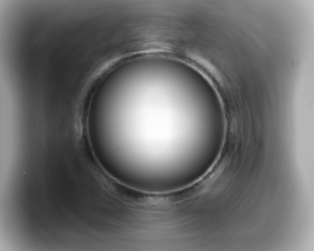 X0000099561407200805231503