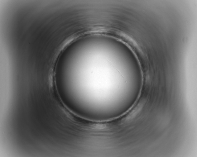 X0000099561409200805231503