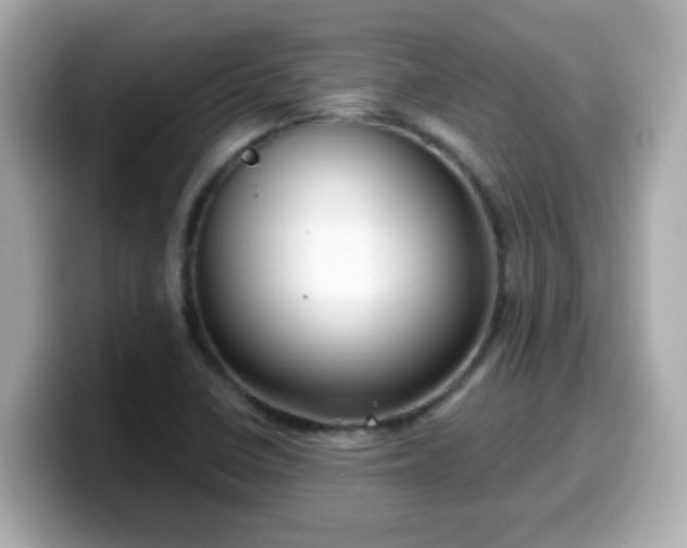 X0000099561410200805231503