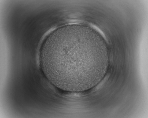 X0000099561411200805231503