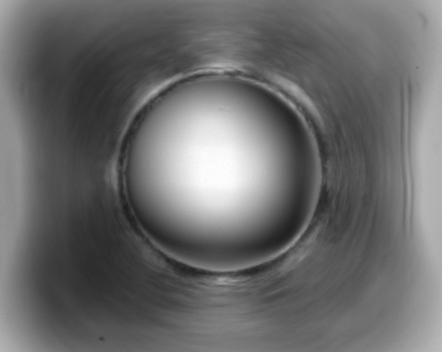 X0000099561412200805231503