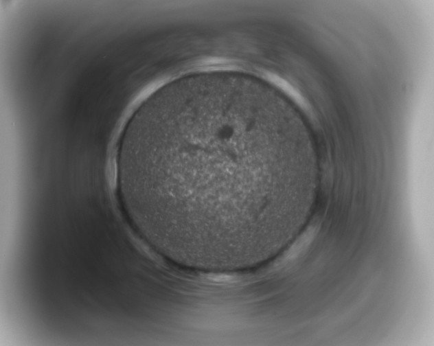 X0000099561413200805231503