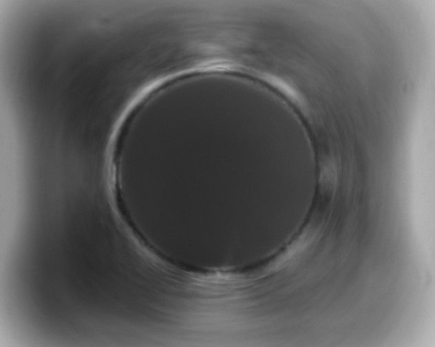 X0000099561414200805231503